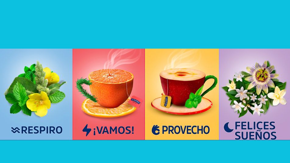 infusiones-estilo-de-vida